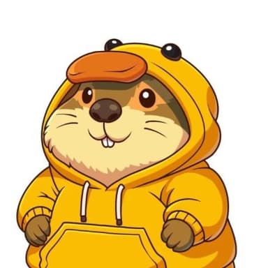 @SolMarms image
